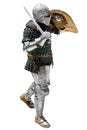 Medieval knight with the sword and shield.