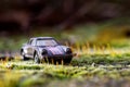 A portrait of a miniature sportscar looking like it is a big life size car. The moss surounding the car makes it look like it is