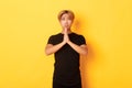 Portrait of miserable asian guy pleading, begging for help, standing over yellow background