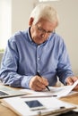 Senior Man Writing Tax Report Royalty Free Stock Photo