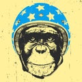 Portrait of Monkey with Helmet.