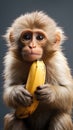 Portrait of a monkey hold a banana , Generate Ai