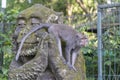 Portrait of a monkey sitting on a stone sculpture of a monkey at sacred monkey forest in Ubud, island Bali, Indonesia . Closeup Royalty Free Stock Photo