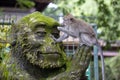 Portrait of a monkey sitting on a stone sculpture of a monkey at sacred monkey forest in Ubud, island Bali, Indonesia