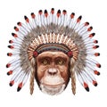 Portrait of Monkey in war bonnet.