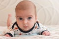 portrait of 2 months old adorable baby boy with big blue eyes and long eyelashes. cute baby lying on his stomach and looking at Royalty Free Stock Photo