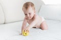 Portrait of 10 months old baby boy crawling on bed and taking big yellow apple Royalty Free Stock Photo