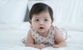 Portrait of 3 months old newborn baby in white bed. Innocent adorable mixed race baby, Asian and Caucasian, is lying or crawling. Royalty Free Stock Photo