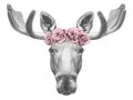 Portrait of Moose with floral head wreath.