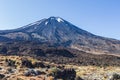 Portrait of Mountain close-up Tongariro National Park. North Island. New Zealand Royalty Free Stock Photo