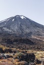 Portrait of Mountain. Tongariro National Park. North Island. New Zealand Royalty Free Stock Photo