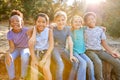 Portrait Of Multi-Cultural Children Hanging Out With Friends In Countryside Together Royalty Free Stock Photo