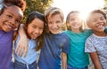 Portrait Of Multi-Cultural Children Hanging Out With Friends In Countryside Together Royalty Free Stock Photo