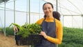 Portrait - multi-ethnic woman farmer smiling holding crate of vegetables on farm Royalty Free Stock Photo