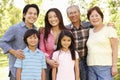 Portrait multi-generation Asian family in park Royalty Free Stock Photo