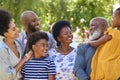 Portrait Of Multi-Generation Family Standing Outdoors In Garden Or Countryside Smiling At Camera Royalty Free Stock Photo