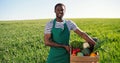 Portrait of multiracial male farmer walking through the large green multi-colored rural field and carrying box with