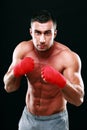Portrait of muscular male boxer in stance Royalty Free Stock Photo