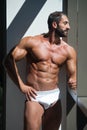 Portrait Of A Muscular Shirtless Model In Underwear Royalty Free Stock Photo