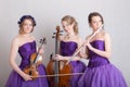 Portrait of a musical trio Royalty Free Stock Photo