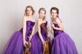 Portrait of a musical trio Royalty Free Stock Photo