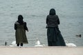 Portrait of muslim women back view gibing bread to the duck and swan in border lake Royalty Free Stock Photo