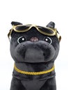 Portrait, muzzle of dog toy closeup. Plush soft black pug dog toy with golden sunglasses and gold collar isolated on white