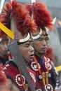 Portrait of a  Naga Man during Hornbill Festival,Nagaland,India Royalty Free Stock Photo