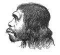 Portrait of a Neanderthal man from a side in the old book the History of Culture, by M. Fillipov, 1898, St. Petersburg