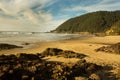 Portrait of Neptune Beach during October, 2022 Royalty Free Stock Photo