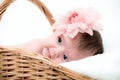 Portrait newborn baby in basket