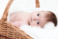 Portrait newborn baby in basket