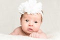 Portrait of newborn baby girl with white headband Royalty Free Stock Photo