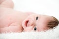 Portrait newborn baby lying in bed