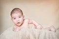 Portrait of newborn baby lying down over a blanket Royalty Free Stock Photo