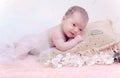 Portrait newborn baby lying in pillow