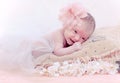 Portrait newborn baby lying in pillow