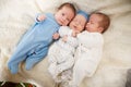 Portrait of newborn triplets Royalty Free Stock Photo