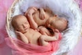 Portrait of newborn twins sleeping in a basket on a pink bright background, Yin Yang, sleep of newborn babies