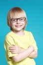 Portrait of the nice boy in glasses Royalty Free Stock Photo