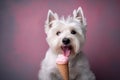 Portrait nice dog dog eating ice cream. west highland white terrier Generative AI