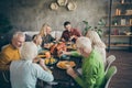 Portrait of nice idyllic cheerful big full family couples eating domestic tasty yummy meal dishes feast gratefulness