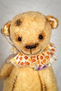 Portrait of old fashioned teddy bear