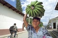 Portrait old Latino woman with bunch of bananas Royalty Free Stock Photo