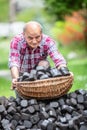 Portrait of an old man picking up a basket full of coal briquettes from a pile in the backyard Royalty Free Stock Photo