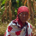 Portrait of an old Tanzanian woman Royalty Free Stock Photo