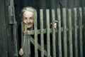 Portrait of an old woman in the village near a wooden fence. Royalty Free Stock Photo