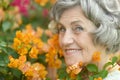 Portrait of an older woman Royalty Free Stock Photo