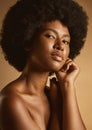Portrait of one beautiful african american woman with an afro and flawless skin posing topless in a studio. Powerful Royalty Free Stock Photo