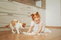 Cute ginger kitten drinking milk on the floor isolated on white background Royalty Free Stock Photo